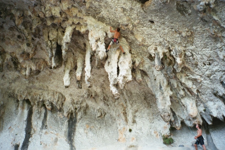 Grotte des branches