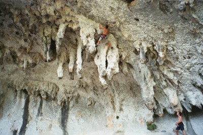 Grotte des branches Grotte des branches