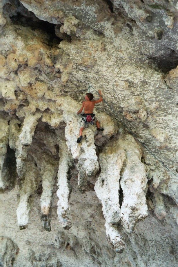 Grotte des branches