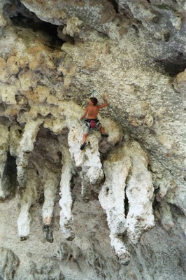 Grotte des branches Grotte des branches