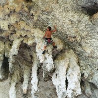 Grotte des branches
