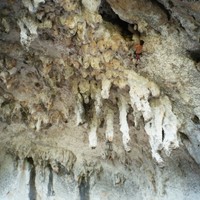 Grotte des branches