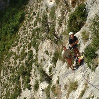 La Jungle en folie