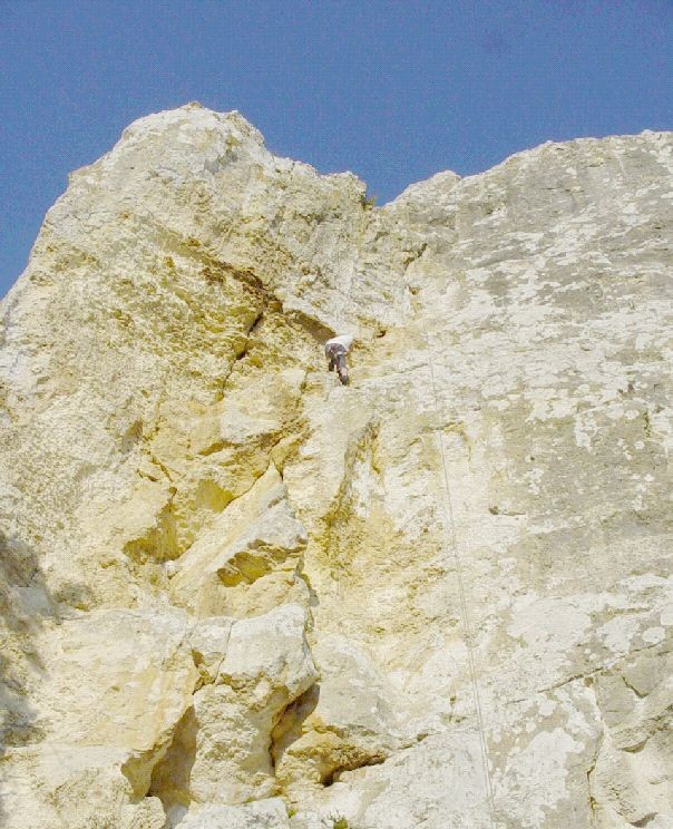 La Jaunisse 5C
