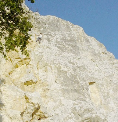 La Jaunisse 5C La Jaunisse 5C