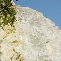 La Jaunisse 5C