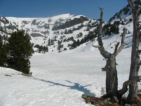Lac ACHARD