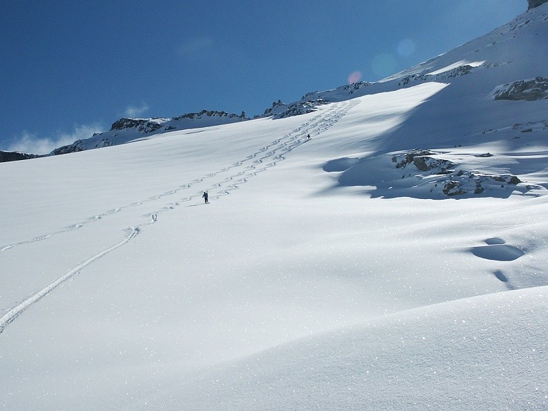 Daubenhorn