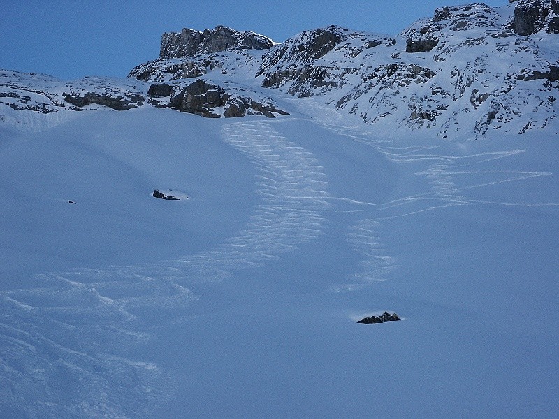 Daubenhorn
