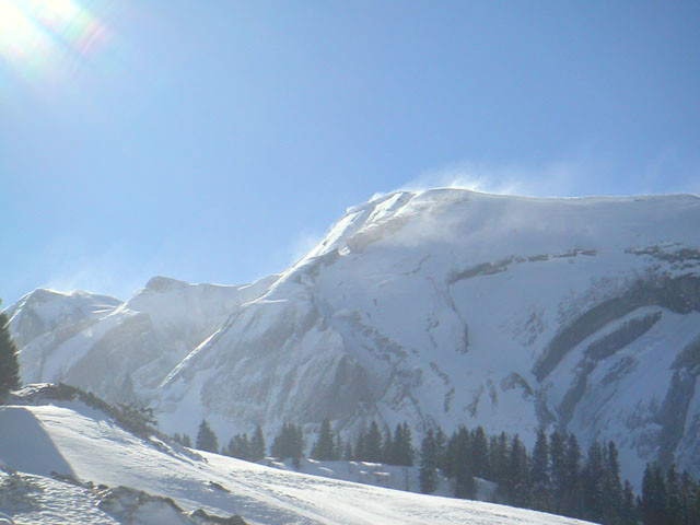 tête de bossetans