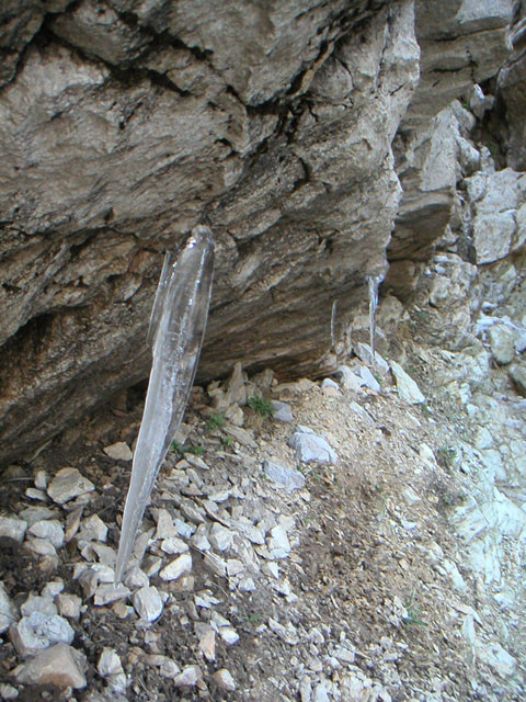 dent d'oche