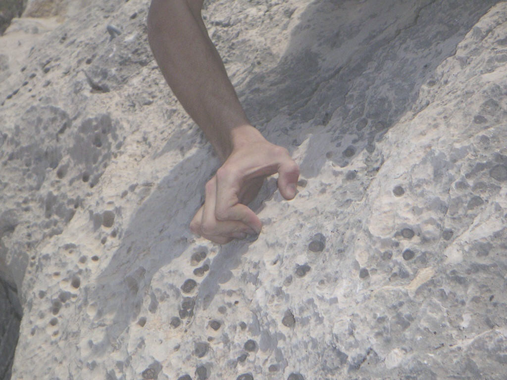 Dans les longueurs du haut