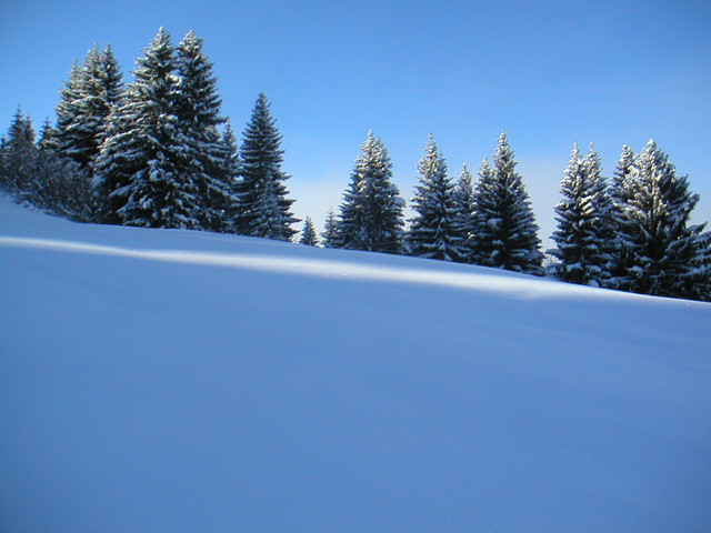 mont chery