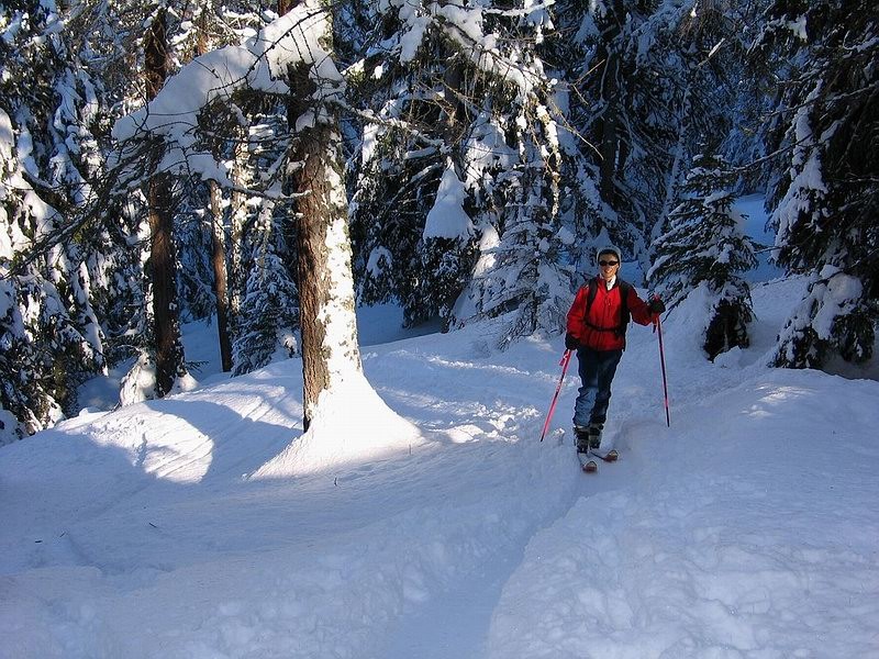 Nel bosco sotto l'alpe Francou