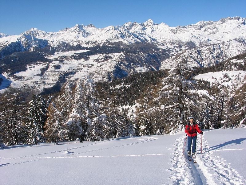 Uscendo dal bosco