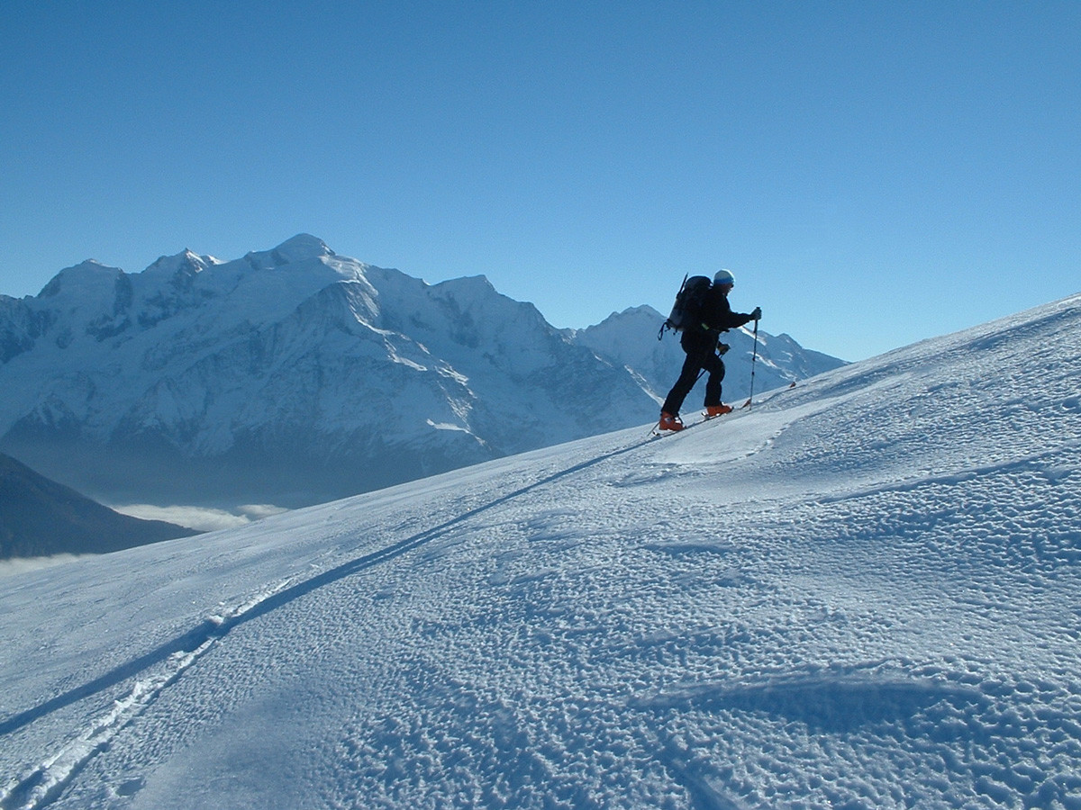 Filu devant le Mont-Blanc