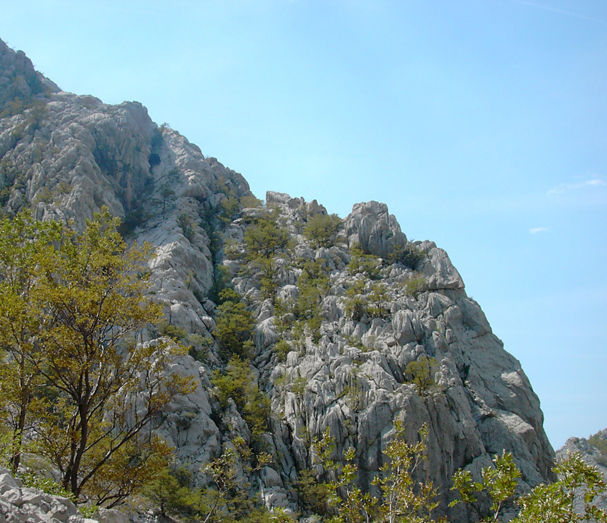 Paklenica : Lapiaz geant et touffu