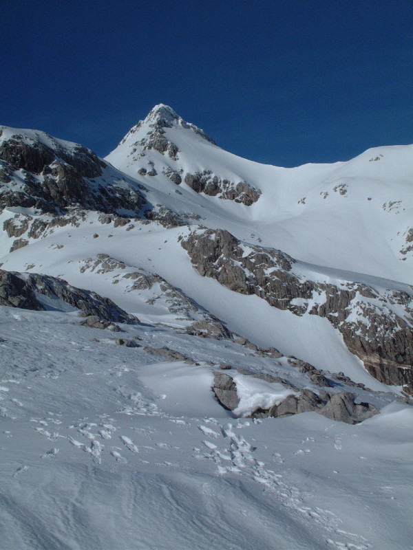 Pico Tesorero