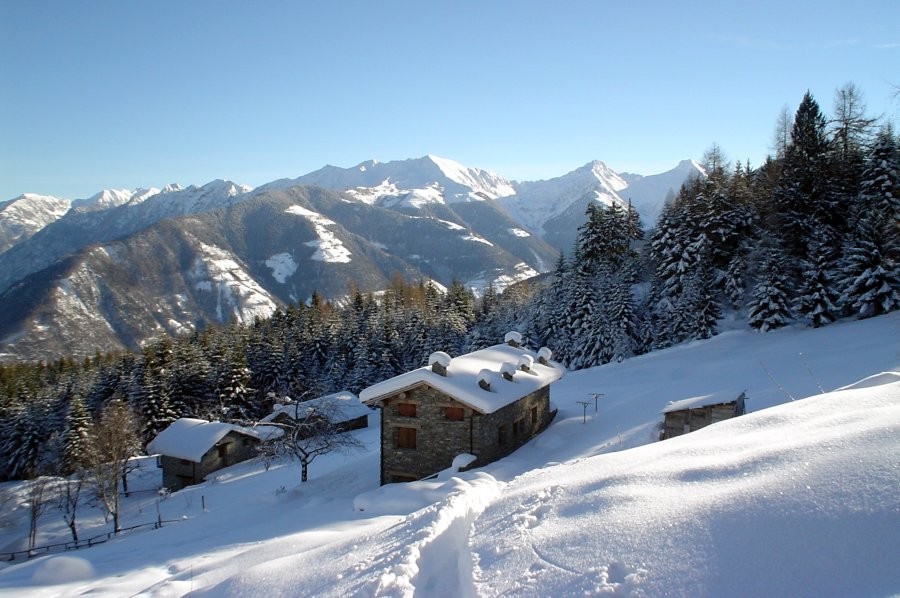 Alpe corte