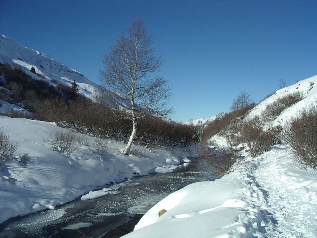 Torrent de Neuvache