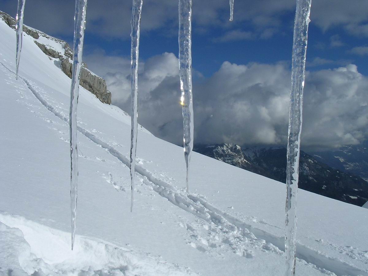 Glace