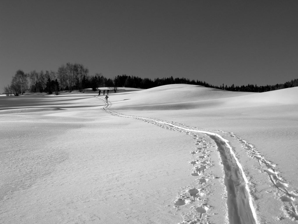 Ambiente invernale nei pressi di Mon