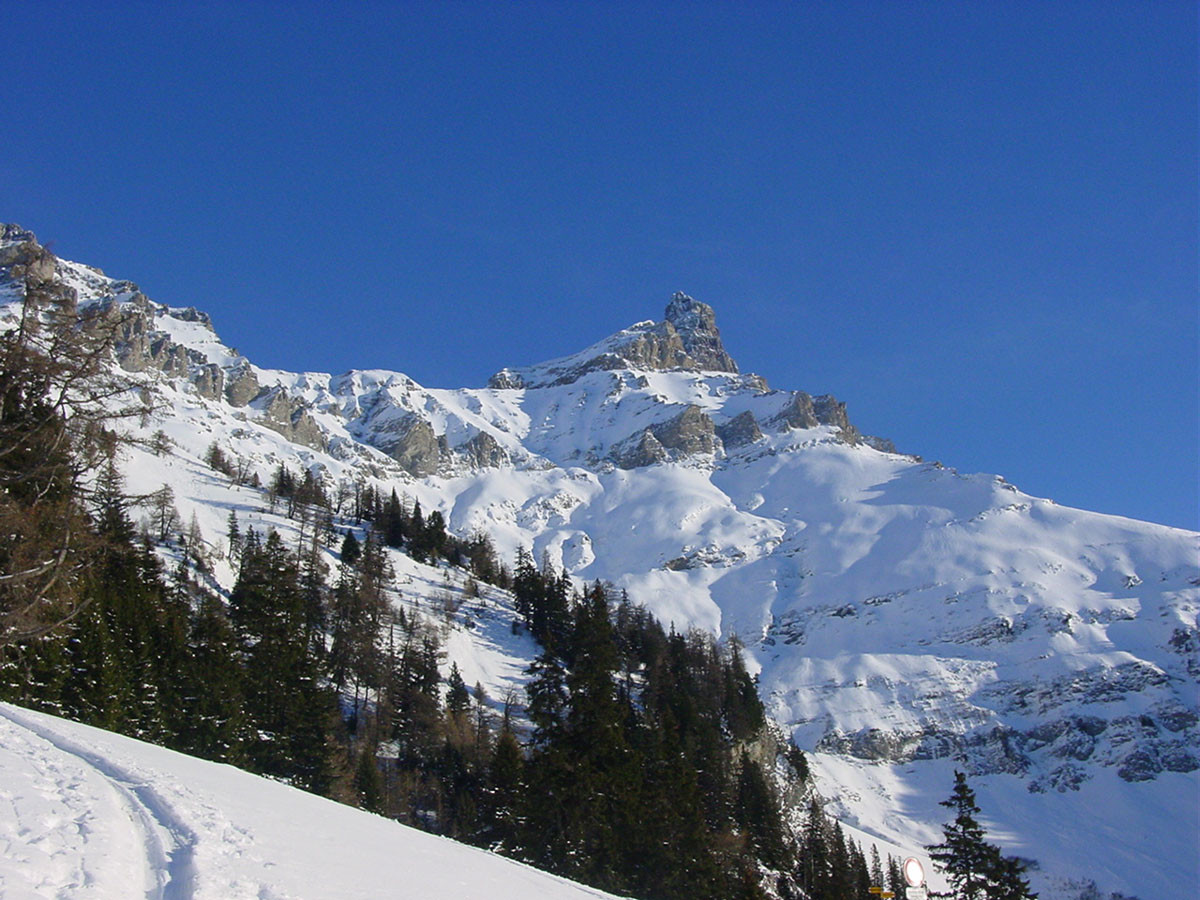Les Dents de Morcles