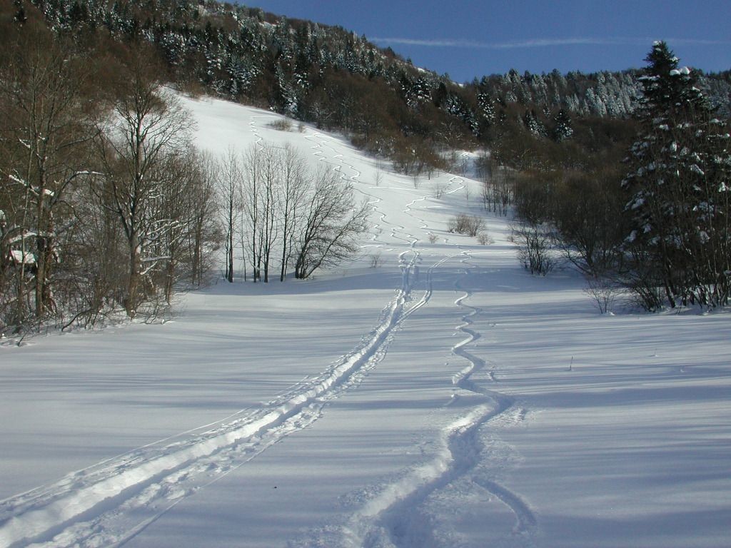 La montée dans la clairière