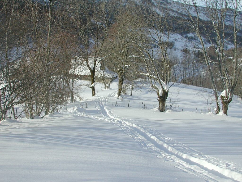 sous la clairière c'est gavé de neige