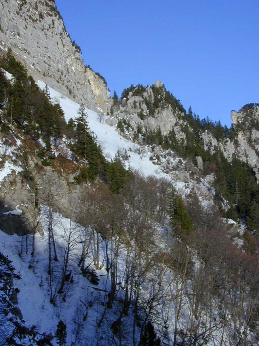 Vallon des Forges