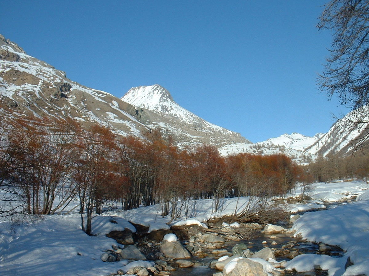 Le torrent de l'Ubaye : depuis Maljasset