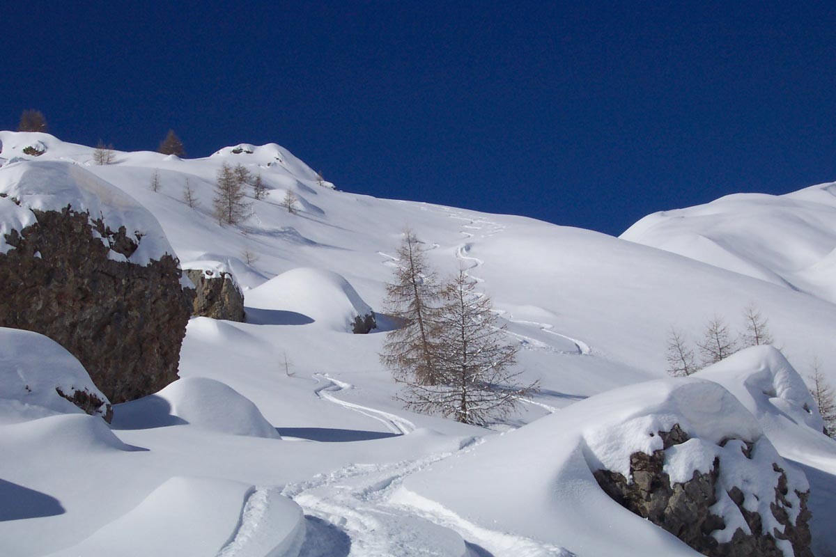 Descente en poudreuse