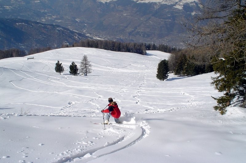 Prime discese in neve fresca
