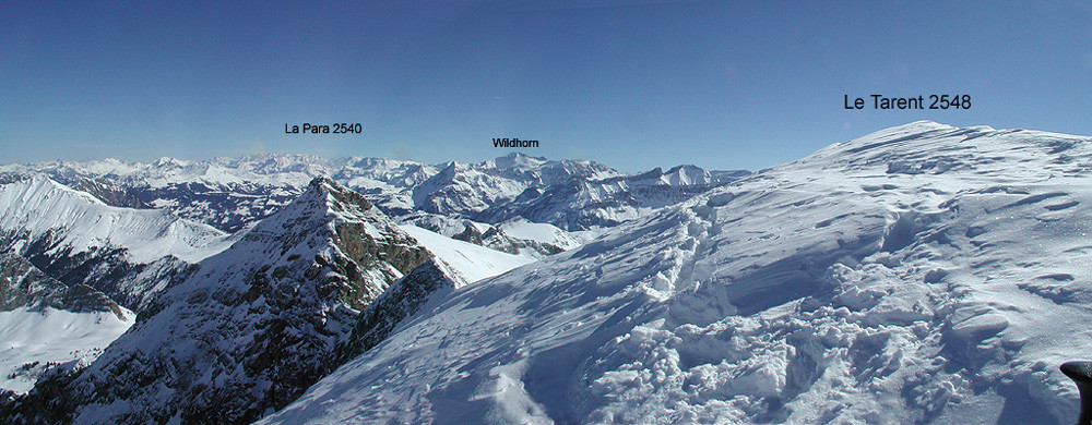 La Para, Le Tarent et son Panorama N