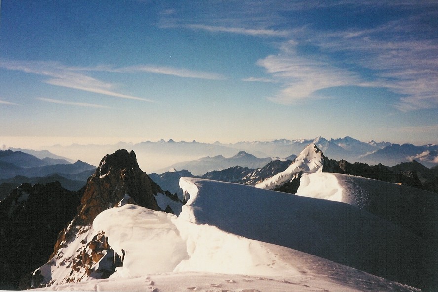 Le Chardonnet