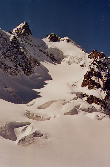 Les Agneaux