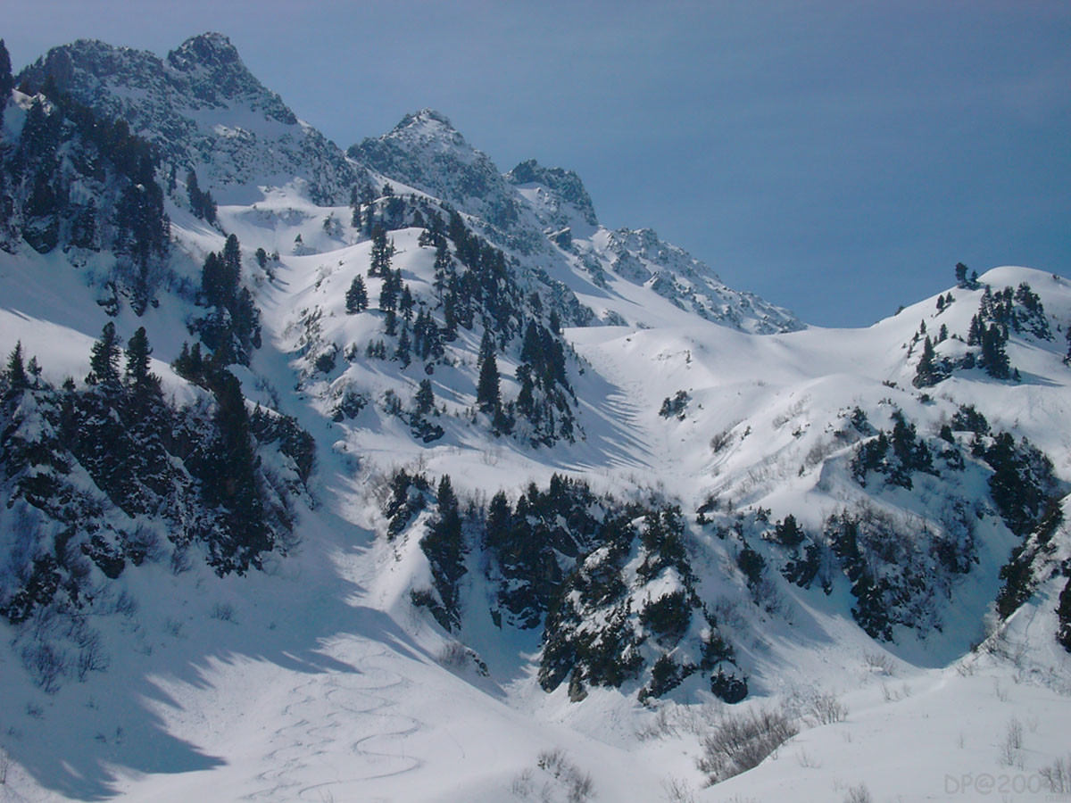 Combe des Etaves : couloirs N sous le Grand Miceau