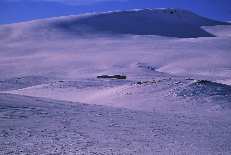 Train au cercle Arctic