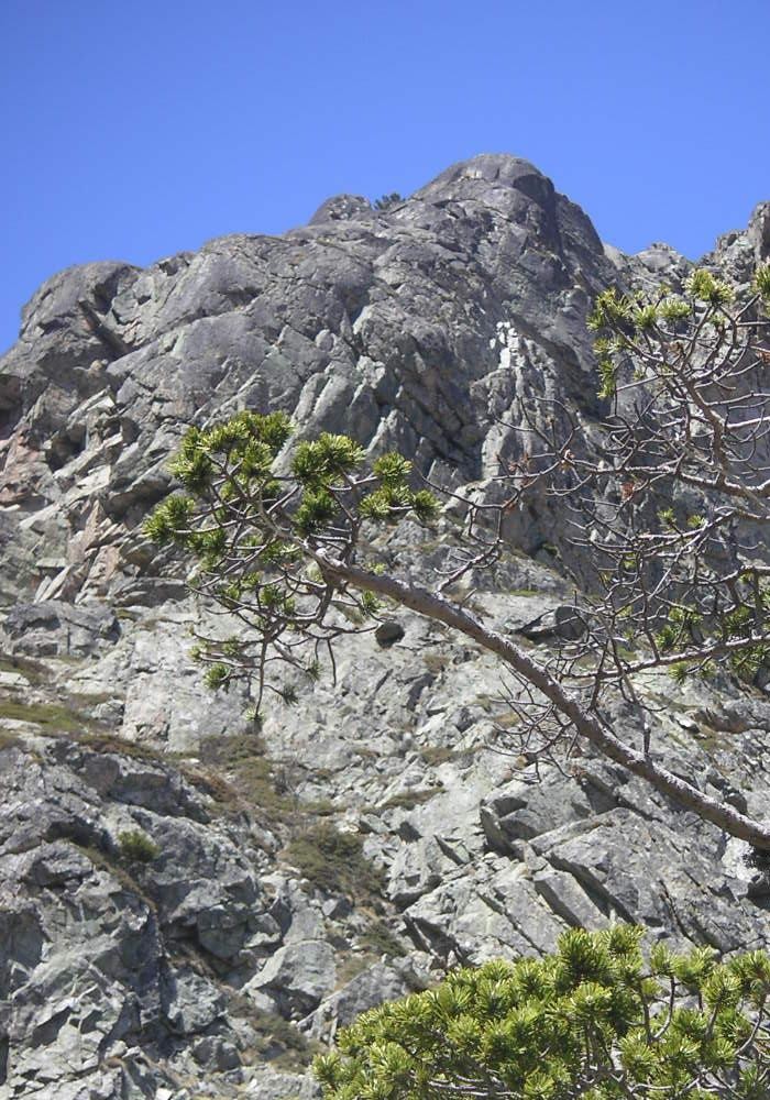 paroie du paravalanche