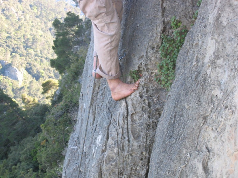Un pied du fakir.