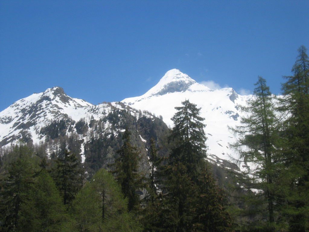 Bortelhorn da Berisal