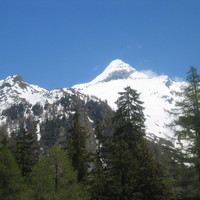 Bortelhorn da Berisal