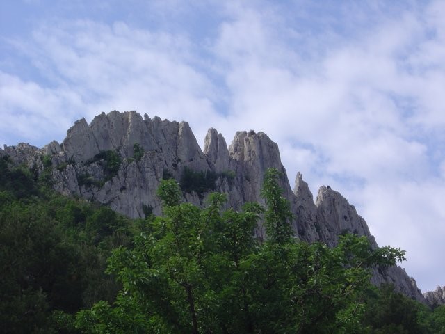 Dentelles de Montmirail