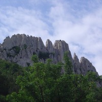 Dentelles de Montmirail
