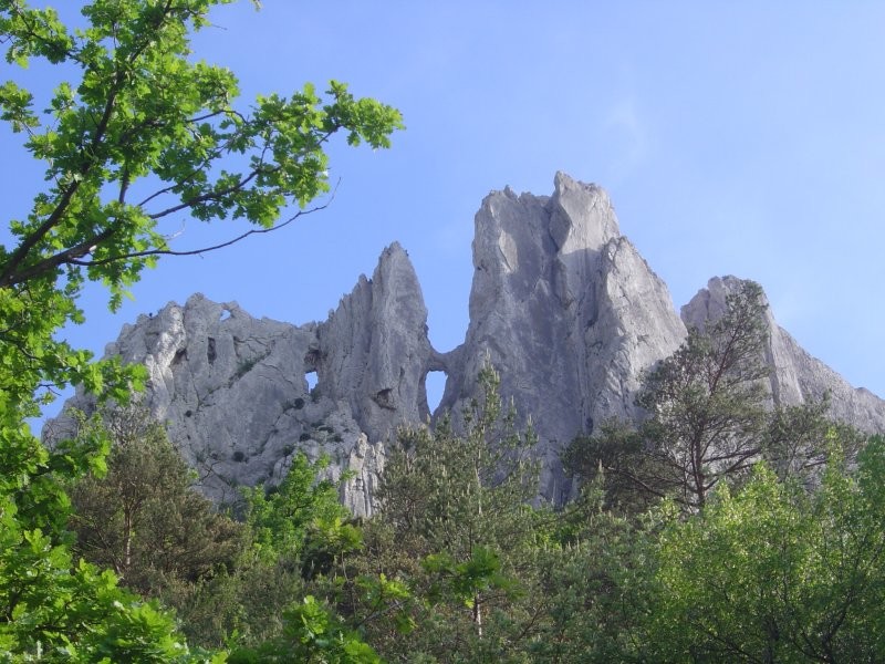 Dentelles de Montmirail
