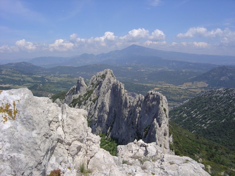 Dentelles de Montmirail