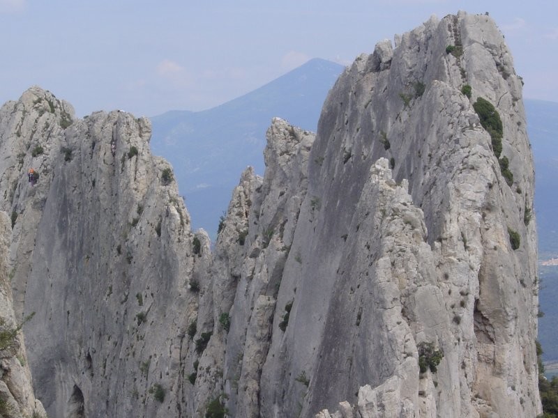 Dentelles de Montmirail