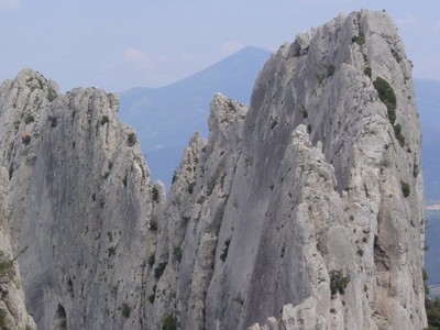 Dentelles de Montmirail