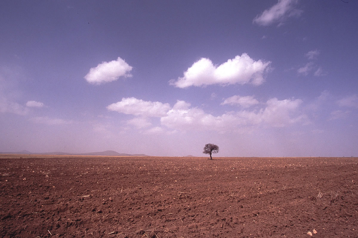 la solitude!