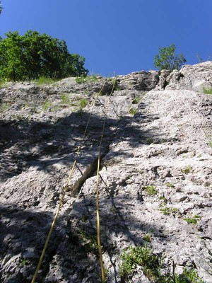 tarzoon tarzoon